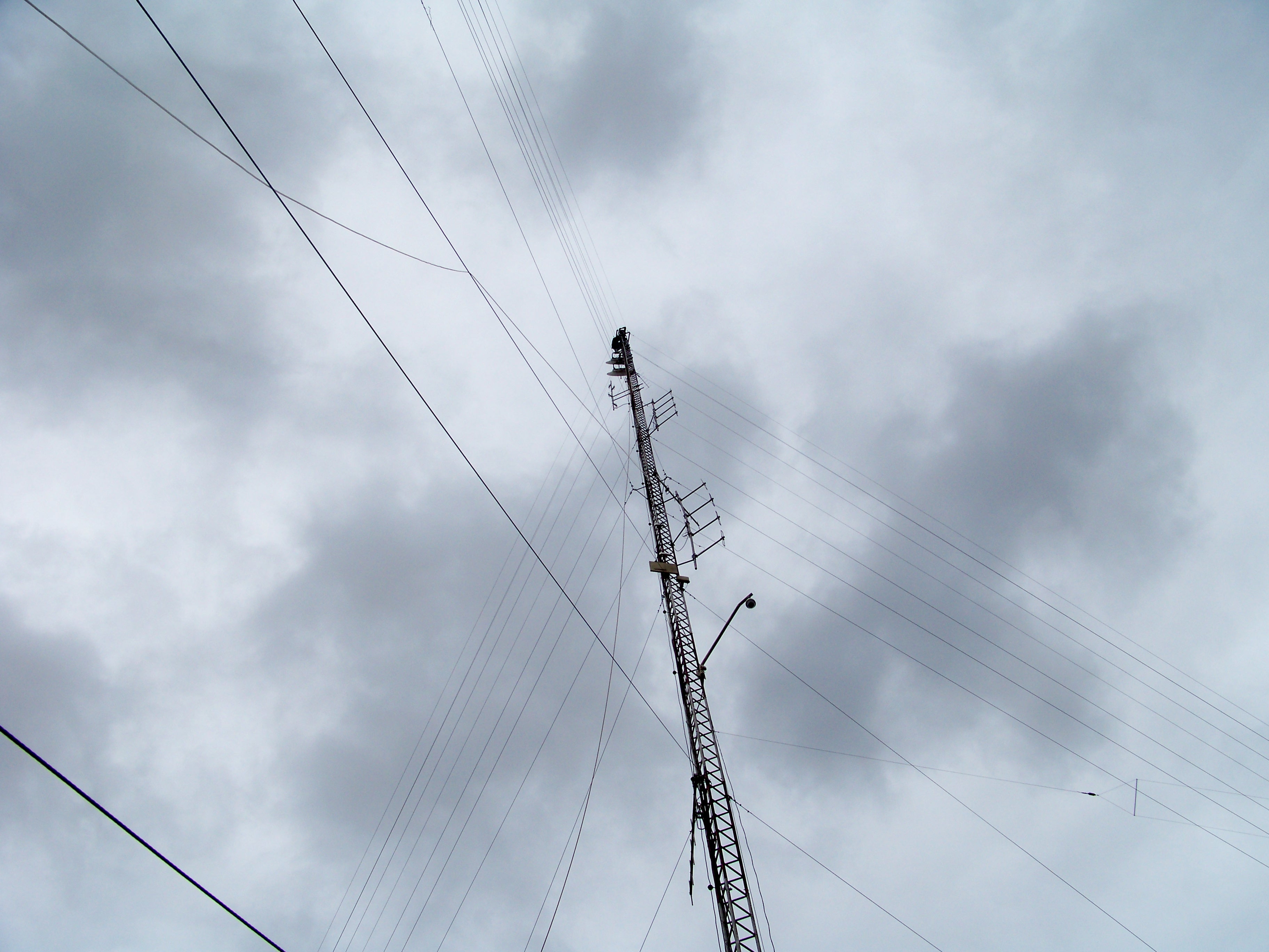 100_5536.JPG
