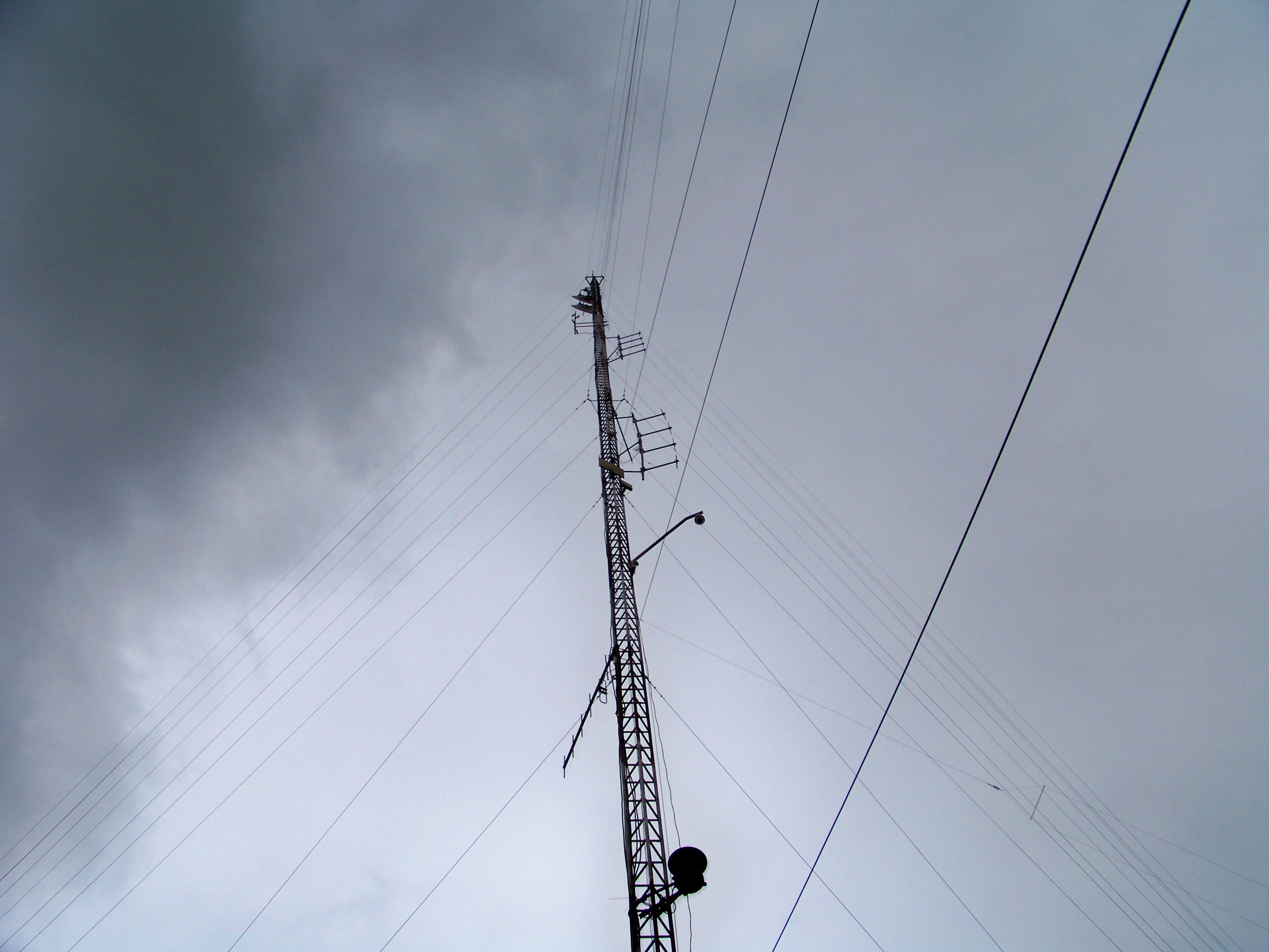 100_5539.JPG